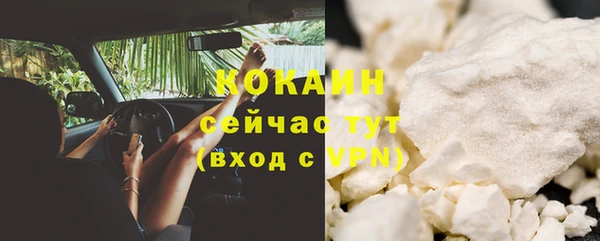 прущие грибы Абинск
