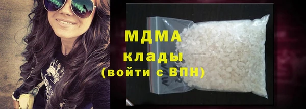 прущие грибы Абинск