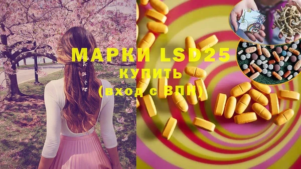 прущие грибы Абинск