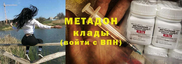 прущие грибы Абинск