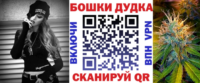 где продают   Дубовка  Бошки марихуана Amnesia 